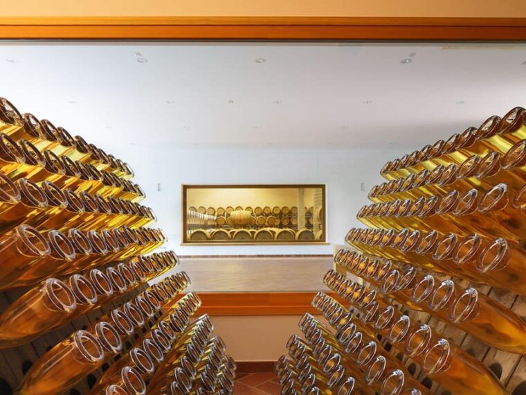 prosecco-winery-tasting-with-food-pairing-near-venice