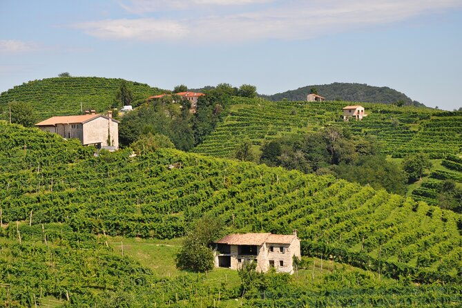 proseccos-roots-the-karst-region-from-trieste