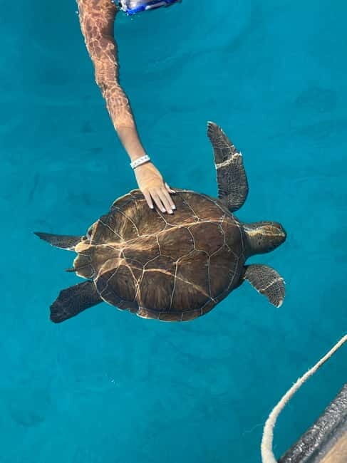 Protaras: Blue Lagoon and Turtles Pirate Cruise - What to Expect from the Protaras Pirate Cruise