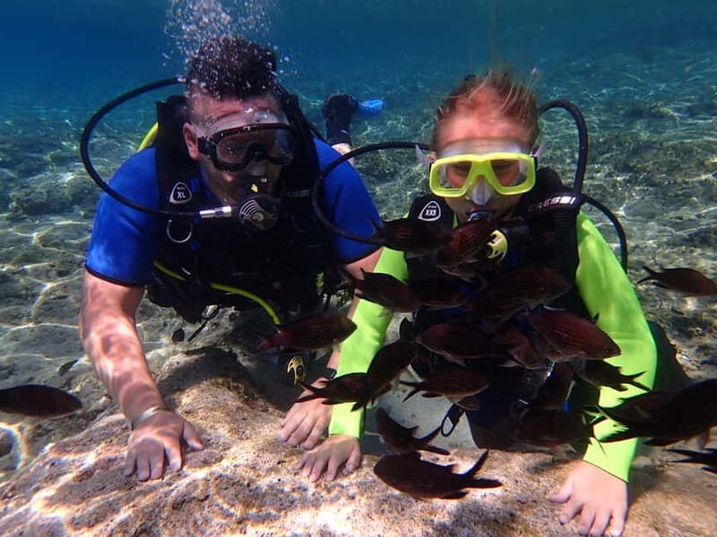 Protaras: Bubblemaker Diving Course & 2-Meter Dive - The Value of This Experience