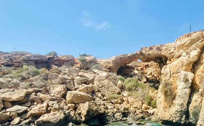 Protaras: Harmony | Luxury boat, Value Turtle Adventure - Analyzing the Value