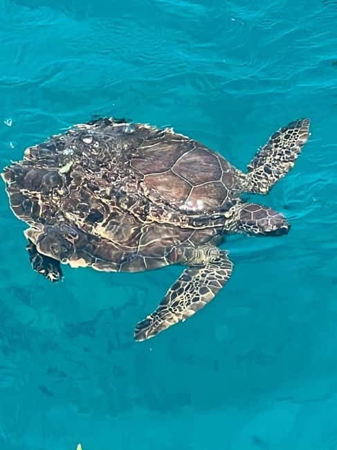 Protaras: Waterworld Turtle Cove Cruise with Swim Stops - Final Thoughts