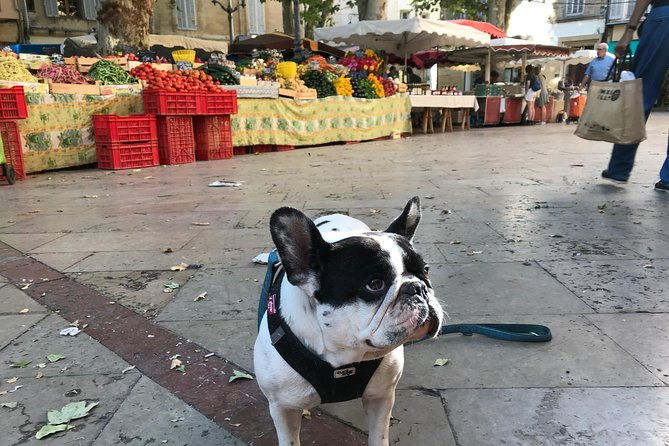 provencal-farmers-market-tour