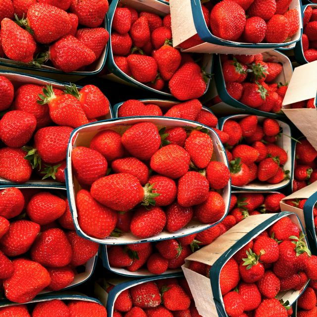provencal-market-walking-tour-with-tastings