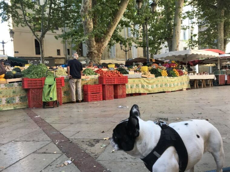 provencal-market-walking-tour-with-tastings