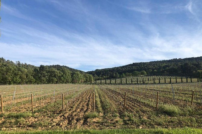 provence-at-your-own-pace-and-at-your-leisure
