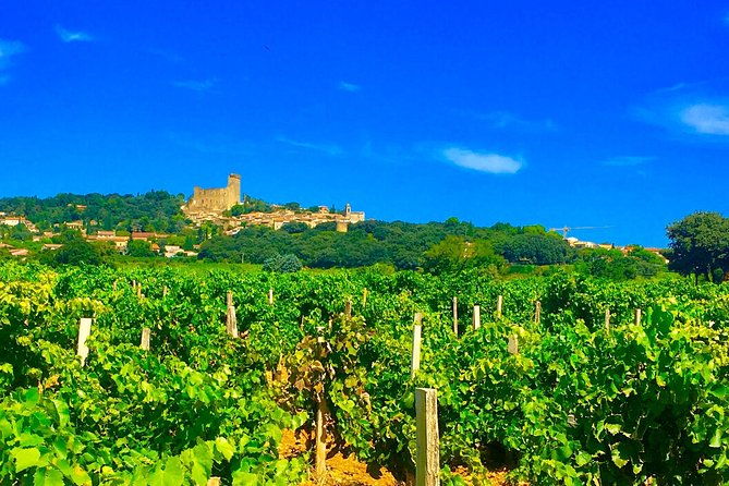 provence-cru-wine-small-group-half-day-tour-from-avignon
