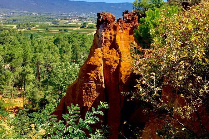 provence-highlights-full-day-tour-from-avignon