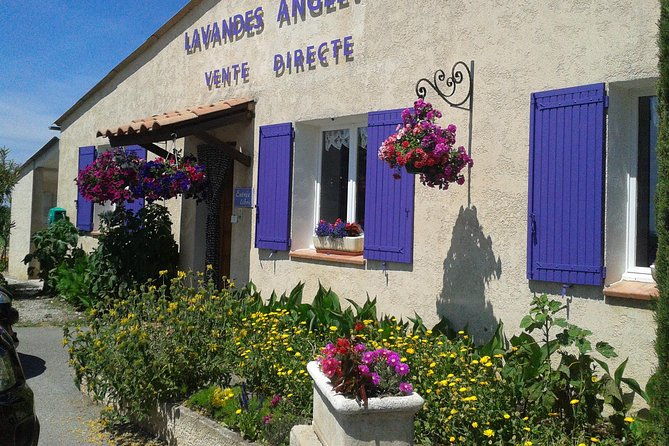provence-lavender-fields-tour-from-aix-en-provence