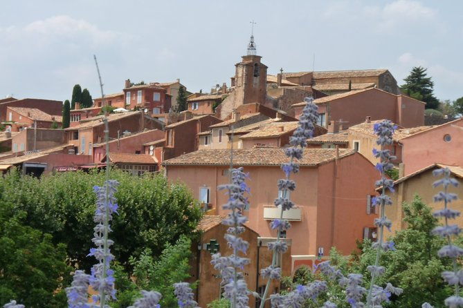 provence-lavender-full-day-tour-from-avignon