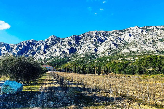 provence-mont-sainte-victoire-in-search-of-cezanne-private-wine-tour