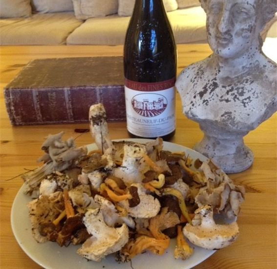 provence-mushroom-hunting-with-outdoor-breakfast
