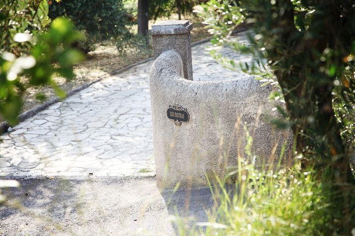 provence-olive-harvest