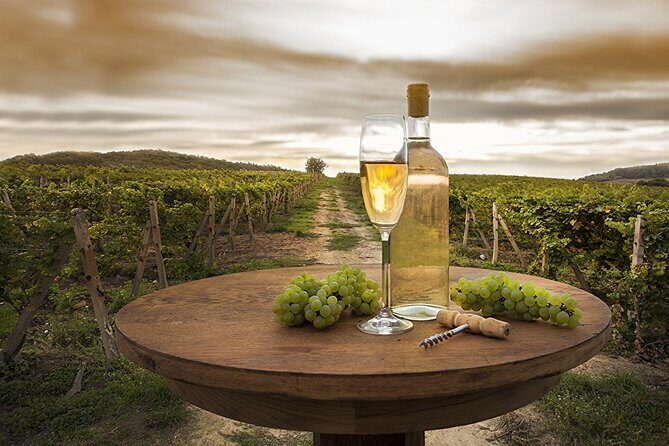 Provence Organic Wine Tasting Half Day Tour from Nice - A Closer Look at the Itinerary