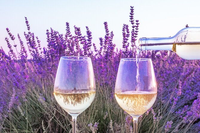 provence-small-group-half-day-wine-tour-from-aix-2
