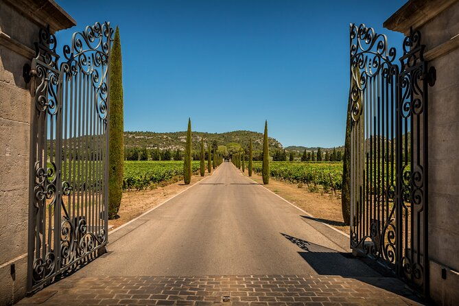 provence-small-group-half-day-wine-tour-from-aix