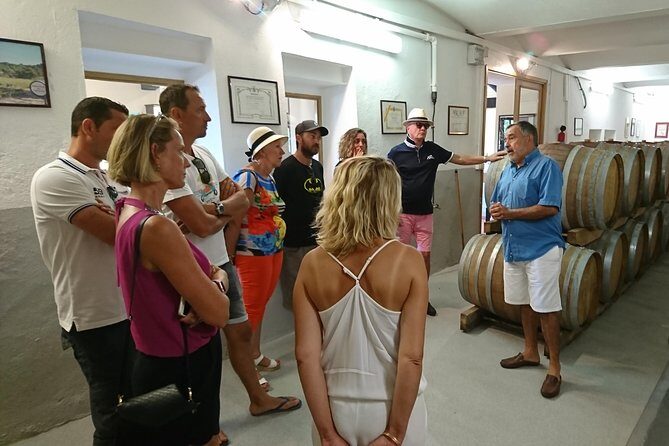 Provence Wine Tour - Private Day Tour from Nice - The Experience Through Reviewers’ Eyes