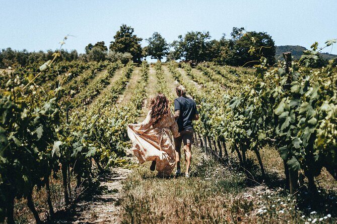 Provence Wine Tour - Small Group Tour from Nice - FAQs  