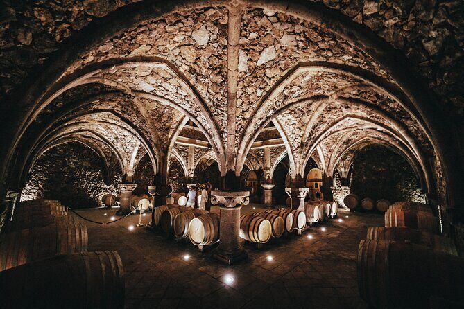 Provence Wine Tour - Small Group Tour from Nice - Final Thoughts  