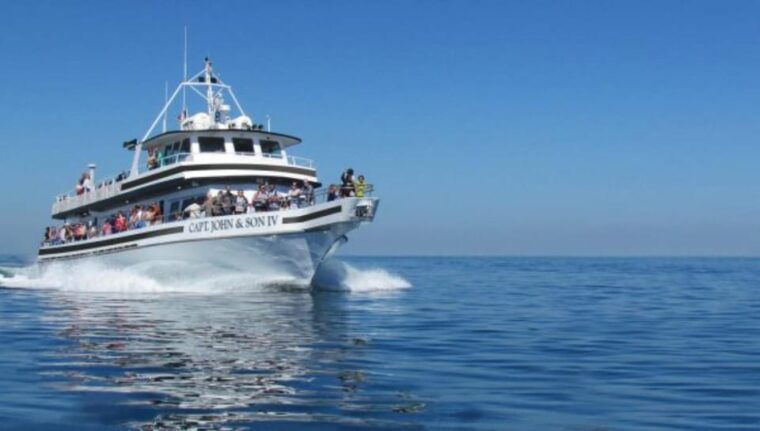 provincetown-whale-watching-cruise