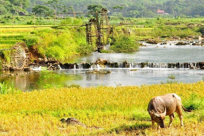 Pu Luong 2 Days 1 Night from Hanoi - In-depth Look at the Pu Luong 2D1N Experience