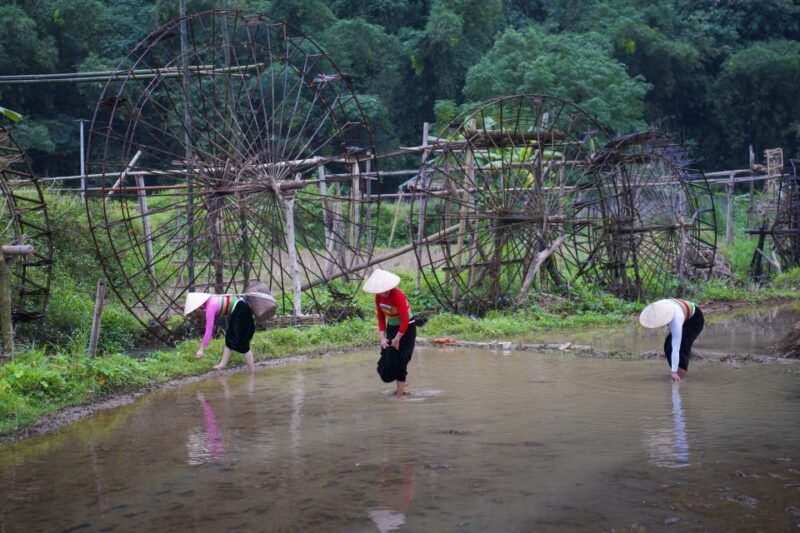 pu-luong-2-days-1-night-trekking-cloud-hunting