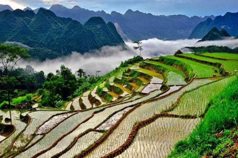 pu-luong-2d1n-trekking-trip-from-hanoi