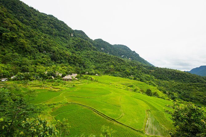 Pu Luong Classic Trekking Tour 2 Days 1 Night from Mai Chau - What Makes This Tour Stand Out?