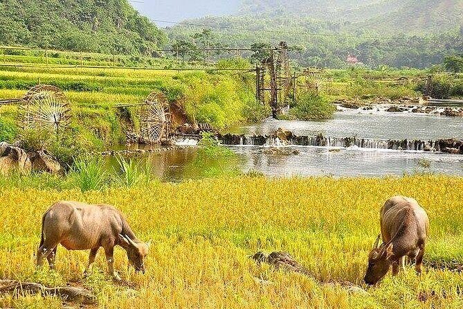 Pu Luong Hidden Paradise Private Trip with Rafting - Key Points