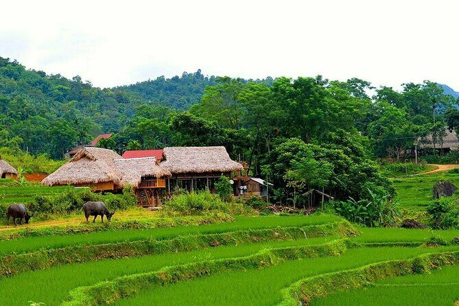 Pu Luong Nature Reserve 2 Days 1 Night Tour from Hanoi - What the Tour Includes and How It All Comes Together