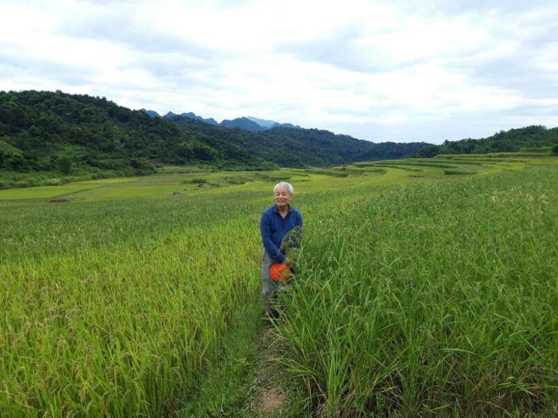 pu-luong-nature-reserve-adventure-3-day-2-night-stilt-house