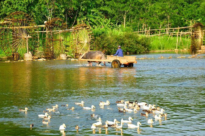 Pu Luong Nature Reserve and Ninh Binh Heritage 3 Days from Hanoi - The Sum Up