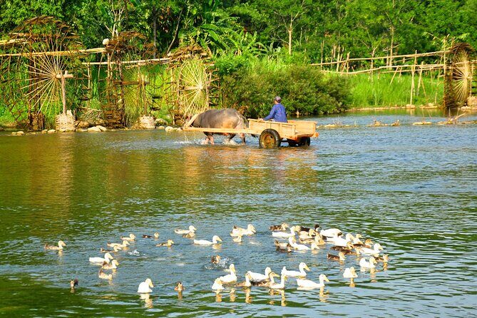 Pu Luong Nature Reserve & Ninh Binh Escape 3 Days Tour From Hanoi - Who Should Consider This Tour?