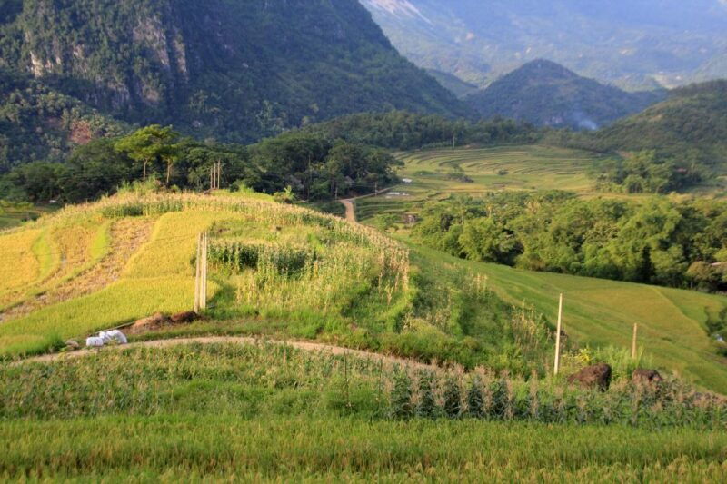 pu-luong-offbeat-trekking-tour-2-days-1-night-with-limousine