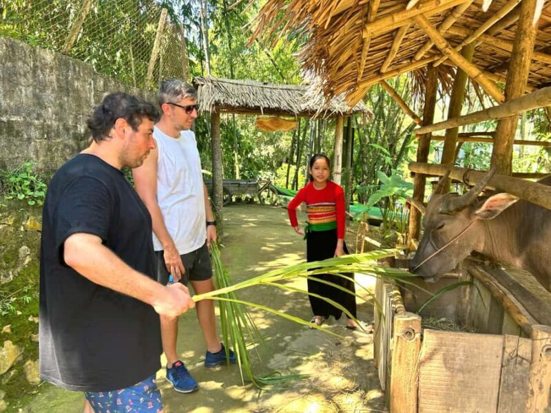 Pu Luong Village Life: Cycling, Local Cooking & Buffalo Cart - Who Will Love This Tour?