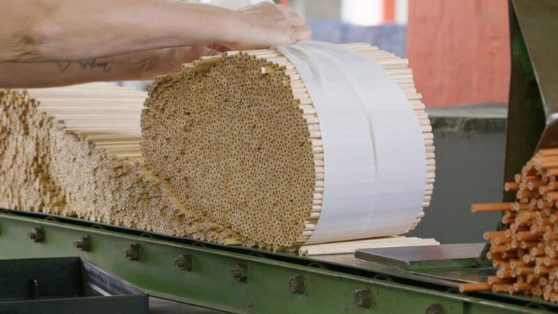 public-guided-tour-production-of-wood-cased-pencils