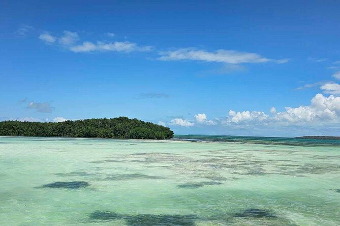 public-paradise-in-saona-relaxation-and-adventure-on-dream-beaches