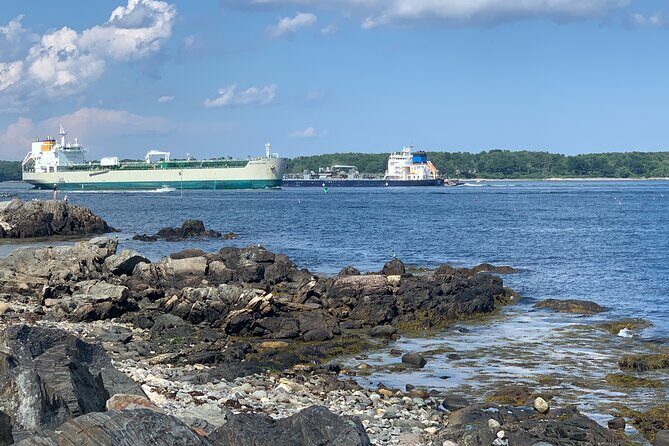Public| Small Group | Islands & Harbor Sightseeing Tour | 2-2.5hr - The Sum Up
