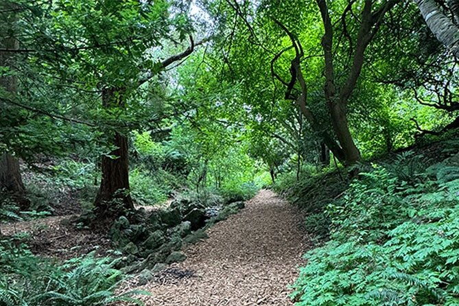 public-weekend-walking-tour-highlights-of-golden-gate-park
