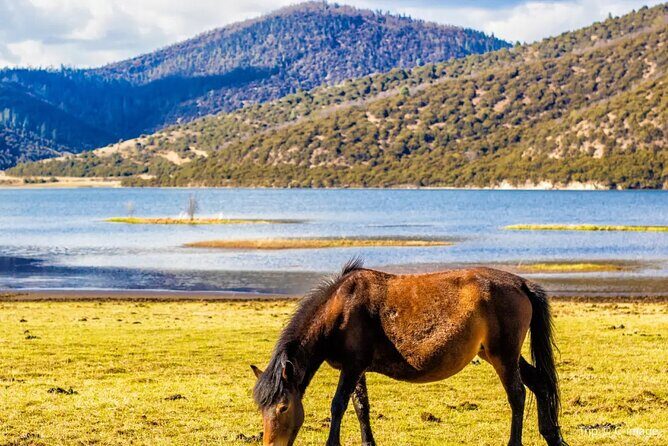 Pudacuo White Water Terrace and Tiger Leaping Gorge Private Tour - Authenticity and Insider Tips
