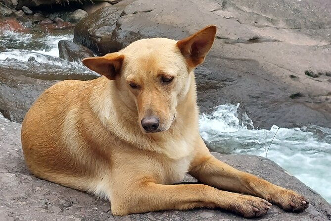 puddles-and-waterfalls