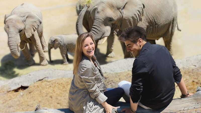 puebla-africam-safari-park-live-an-unforgettable-adventure