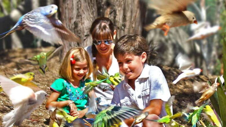 puebla-africam-safari-park-live-an-unforgettable-adventure