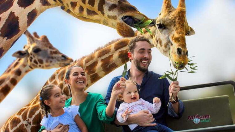puebla-africam-safari-park-live-an-unforgettable-adventure