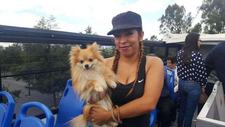 puebla-sightseeing-tour-by-double-decker-tram