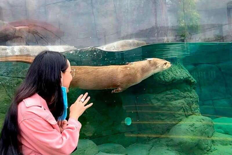 puebla-ticket-to-aquarium-michin