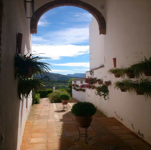 pueblos-blancos-ronda-private-full-day-tour-from-seville
