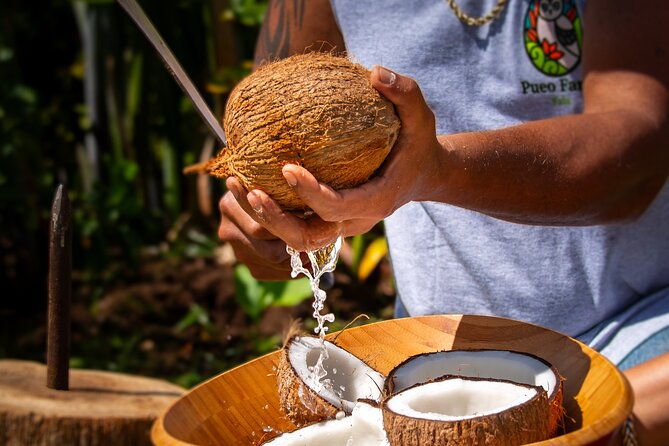 pueo-farm-private-tour-upcountry-maui-hawaii