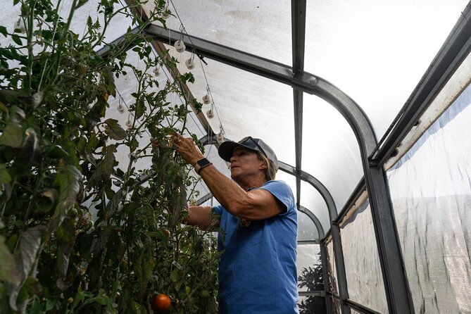 pueo-farm-private-tour-upcountry-maui-hawaii
