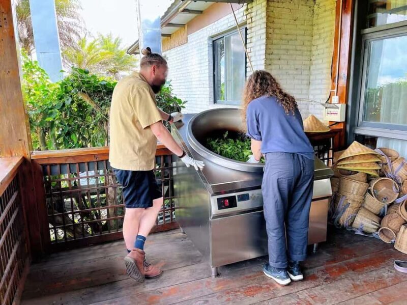 Puer Tea Picking and Tasting | 6 Hour Morning Trip - Authentic Guest Perspectives